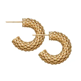 AISHA HOOPS
