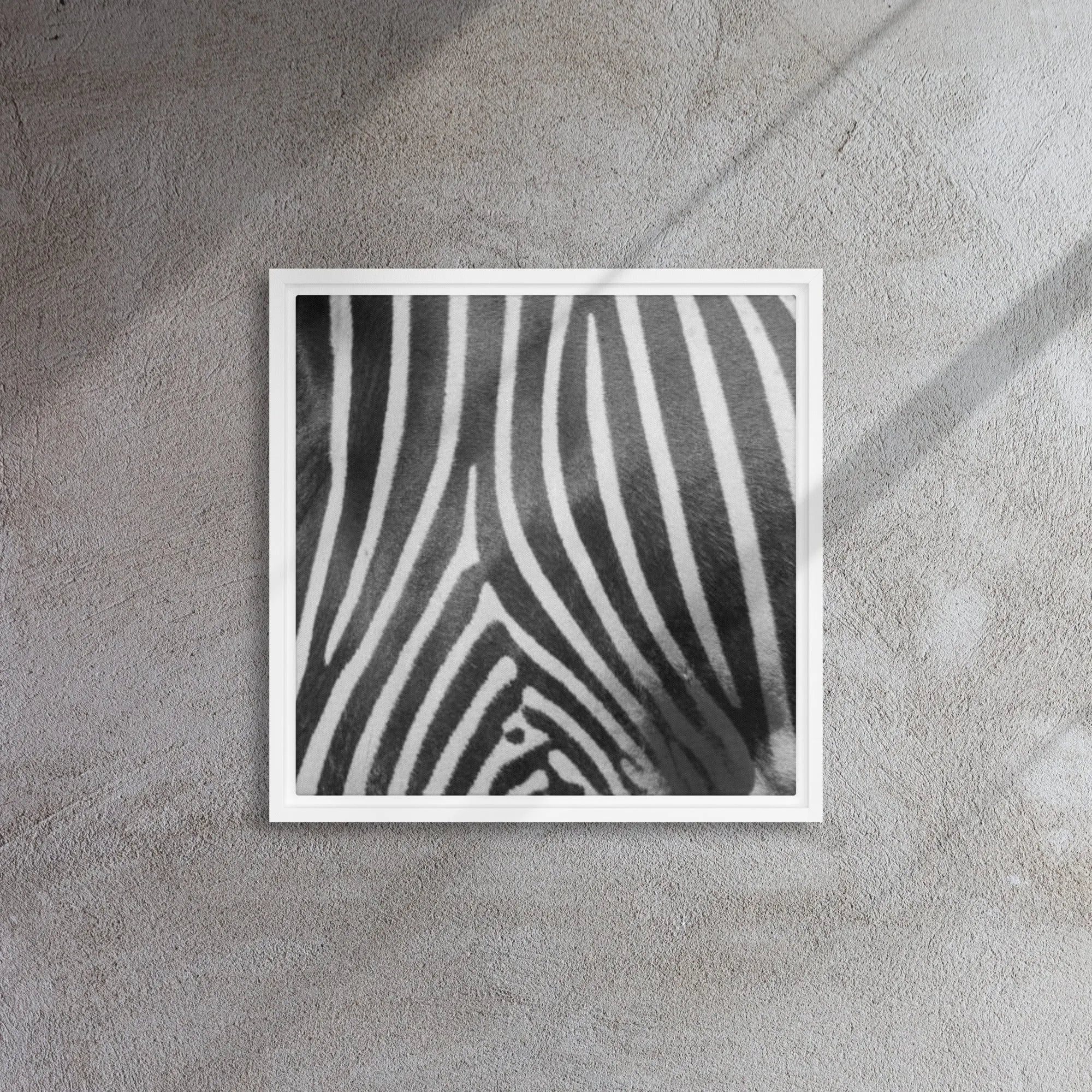 Monotone Zebra Artwork Framed Canvas Print