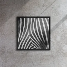 Monotone Zebra Artwork Framed Canvas Print