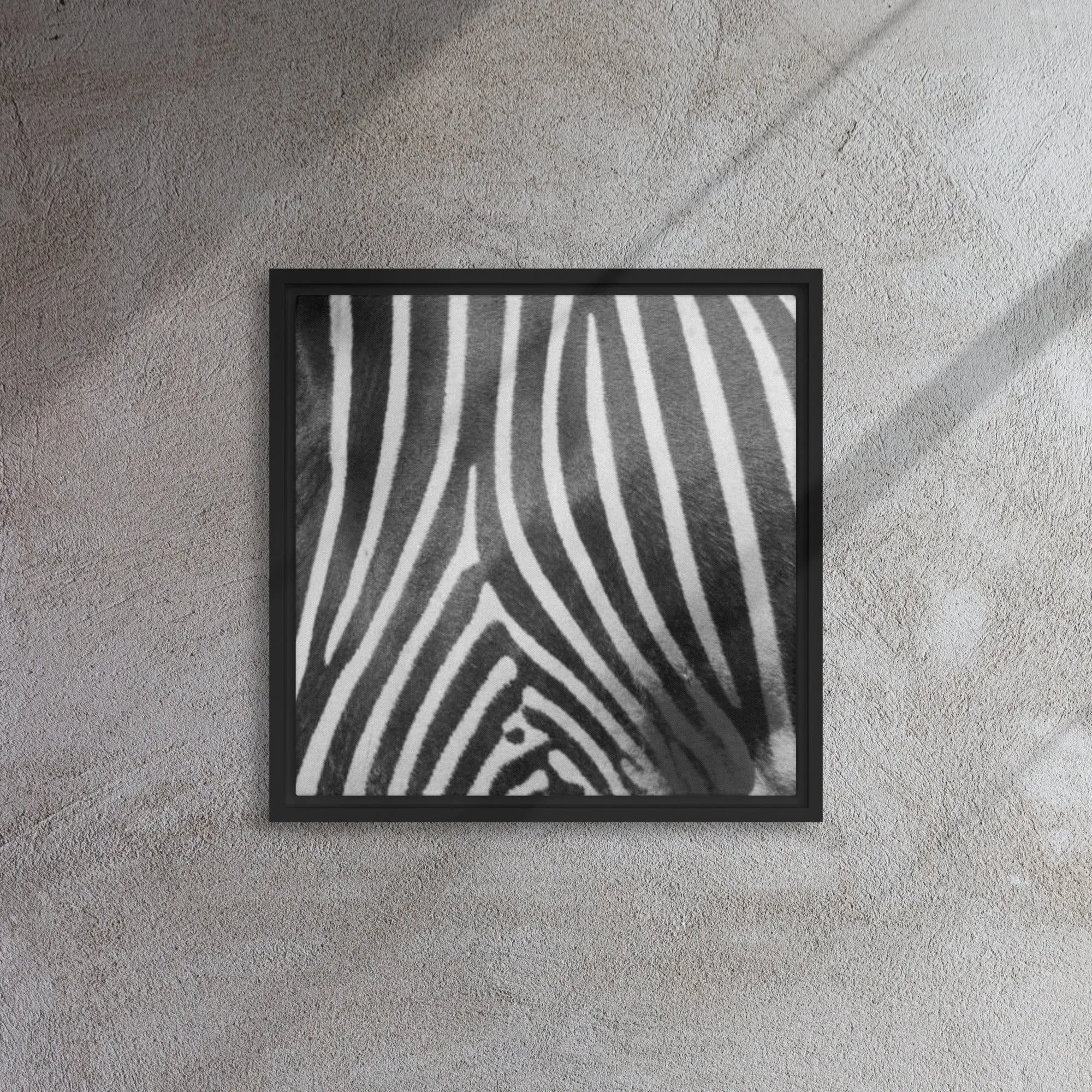 Monotone Zebra Artwork Framed Canvas Print