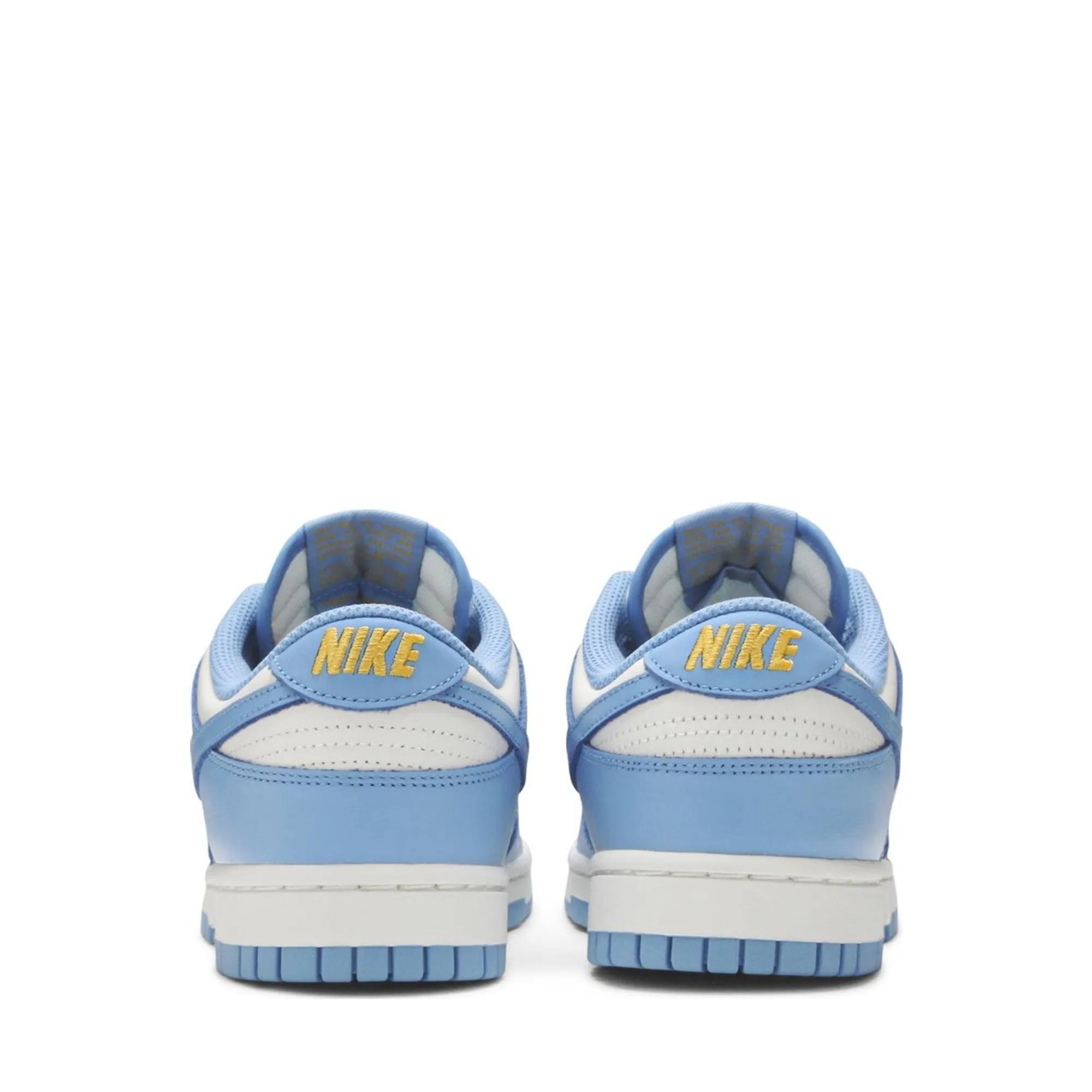 Nike Dunk Low Coast (W)