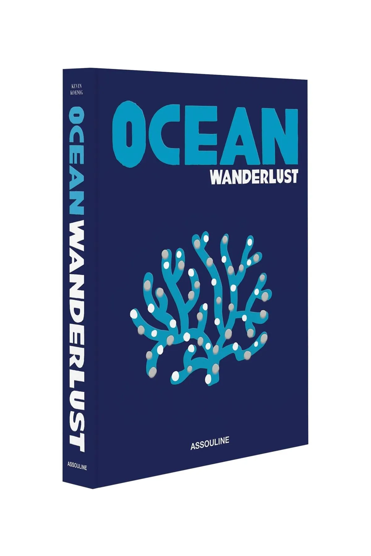 "ocean wanderlust