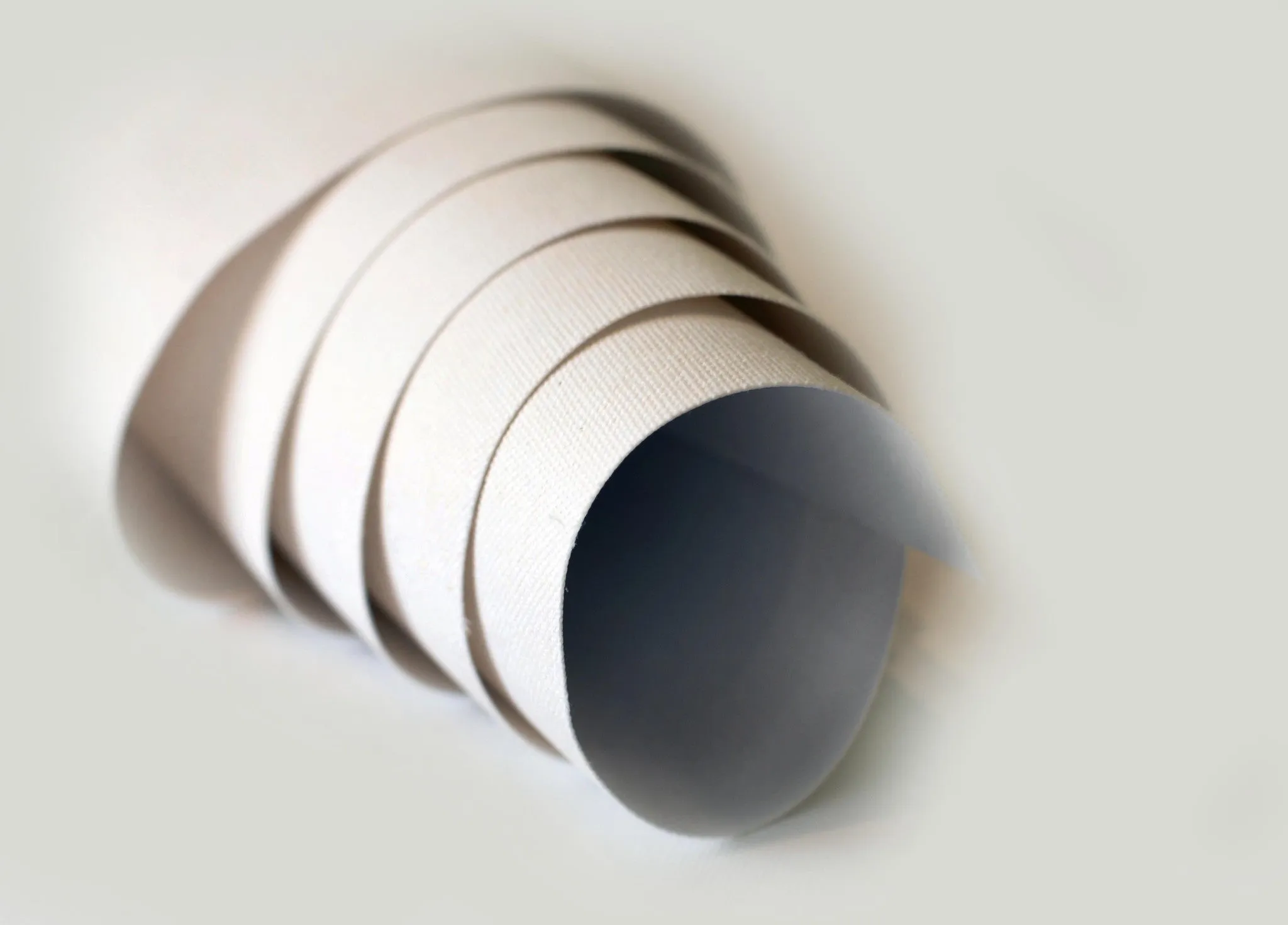 Rolled Canvas Printing