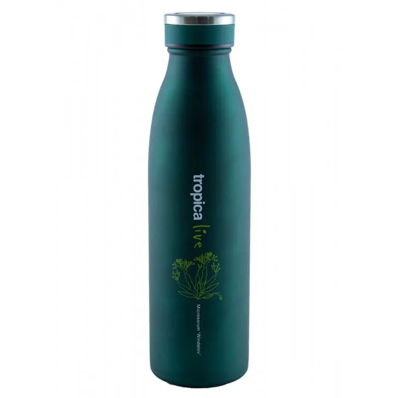 Tropica Live Water Bottle Microsorum Windeløv