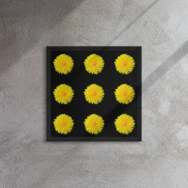 Yellow Dandelion Wildflower Framed Canvas Print